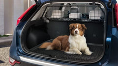 Separatore per animali