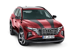 Strisce Decorative Cofano e Tetto