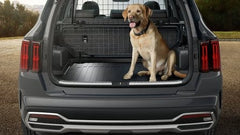 Protezione per cani, telaio inferiore