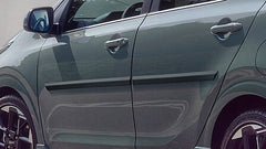 Modanature delle porte laterali