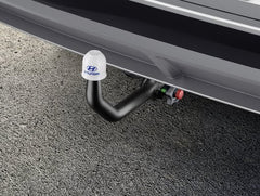 Gancio Traino Estraibile