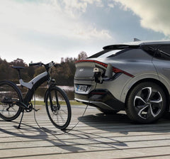 Cavo di ricarica da veicolo a dispositivo (V2L)