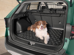 Griglia di separazione Protezione cane